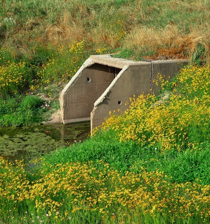 fatberg removal London